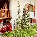 Maison Bertines Ii